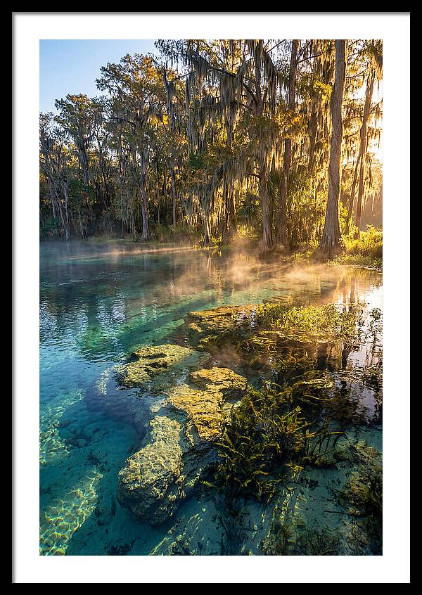 Wakulla Springs Serenity