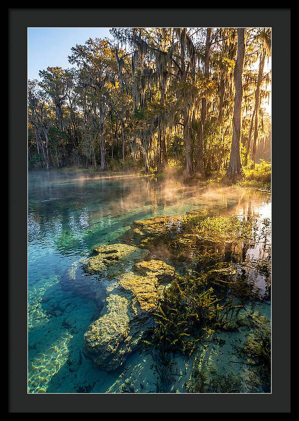 Wakulla Springs Serenity