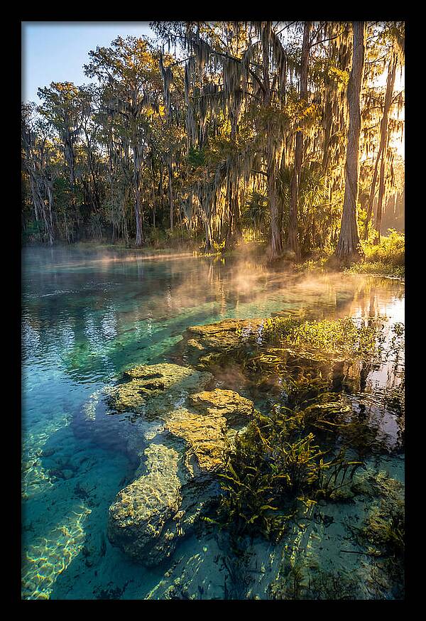 Wakulla Springs Serenity