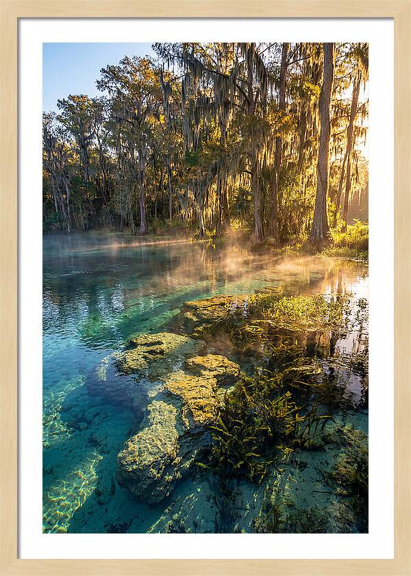 Wakulla Springs Serenity