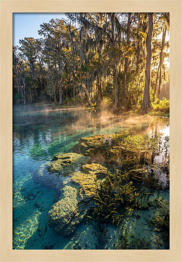 Wakulla Springs Serenity