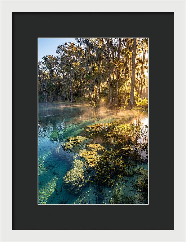 Wakulla Springs Serenity