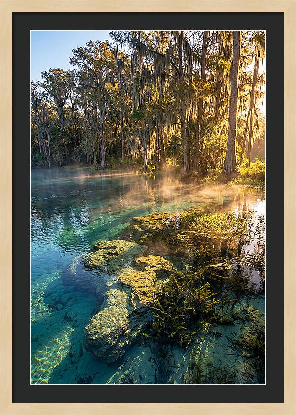 Wakulla Springs Serenity
