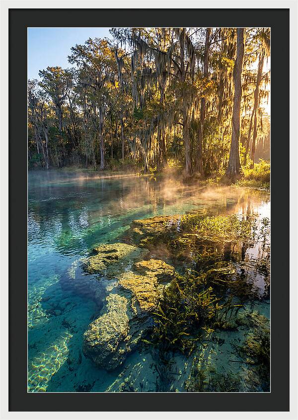 Wakulla Springs Serenity