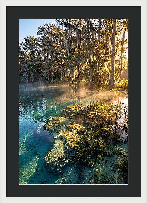 Wakulla Springs Serenity