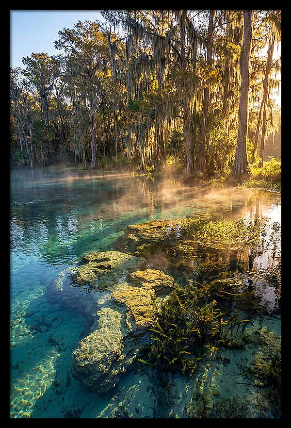 Wakulla Springs Serenity