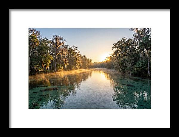 Wakulla Springs Tranquility