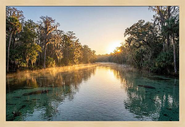 Wakulla Springs Tranquility