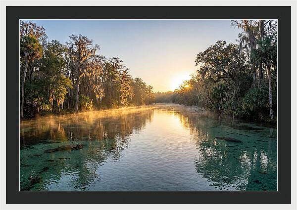 Wakulla Springs Tranquility