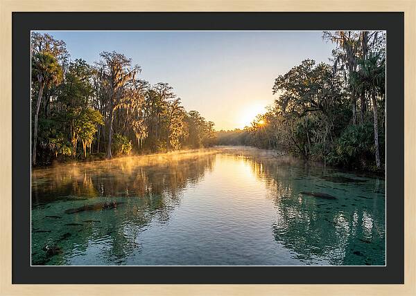 Wakulla Springs Tranquility