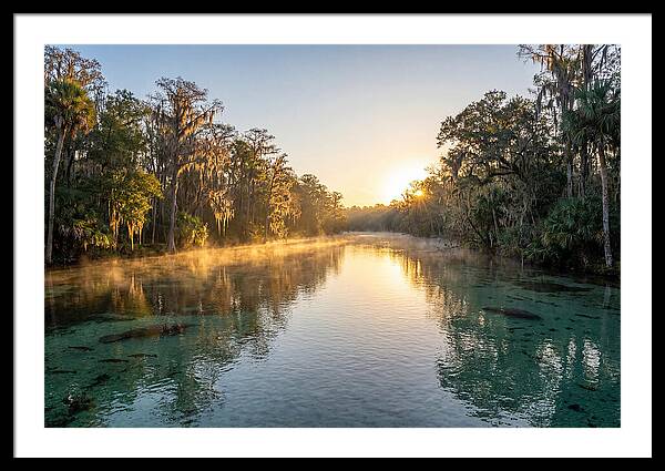 Wakulla Springs Tranquility