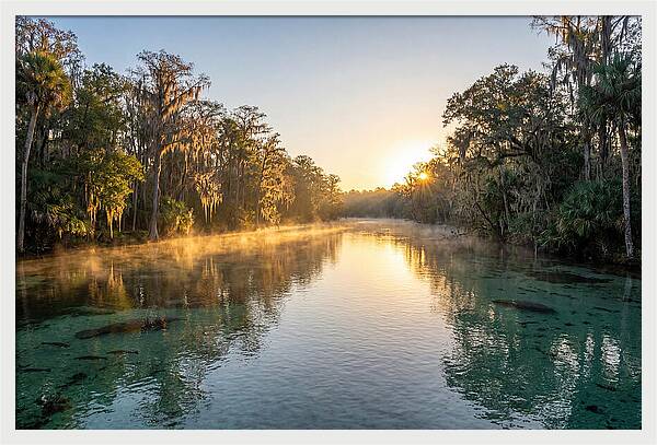 Wakulla Springs Tranquility