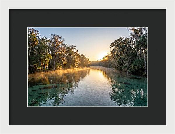 Wakulla Springs Tranquility