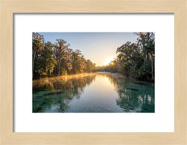 Wakulla Springs Tranquility