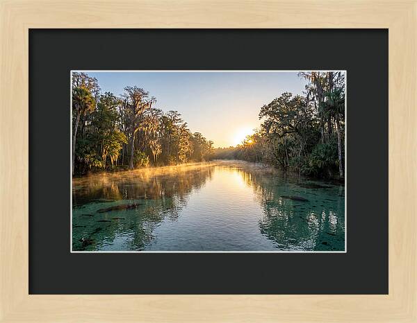 Wakulla Springs Tranquility