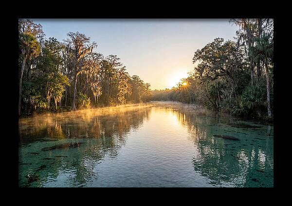 Wakulla Springs Tranquility