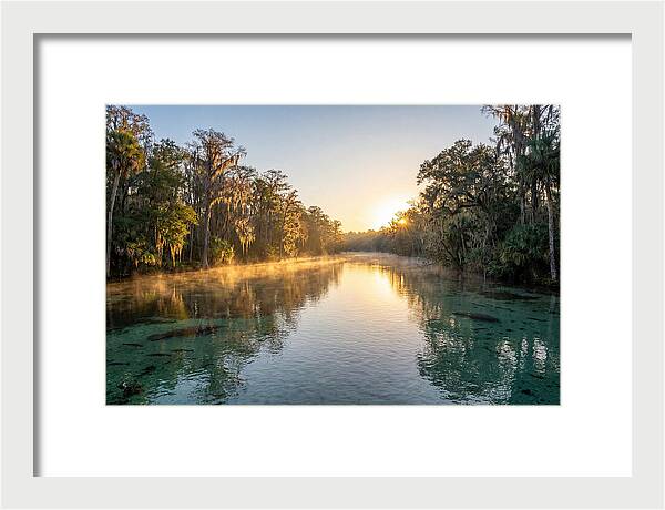 Wakulla Springs Tranquility