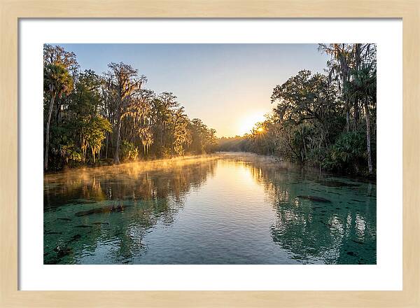 Wakulla Springs Tranquility