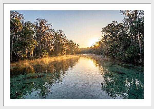 Wakulla Springs Tranquility