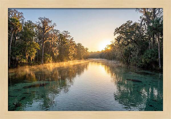 Wakulla Springs Tranquility