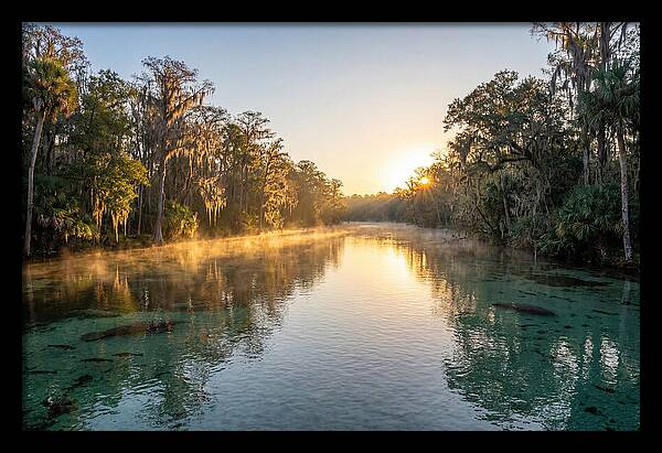 Wakulla Springs Tranquility