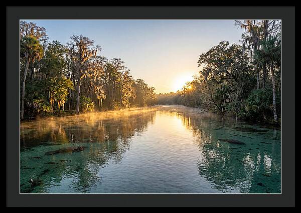 Wakulla Springs Tranquility
