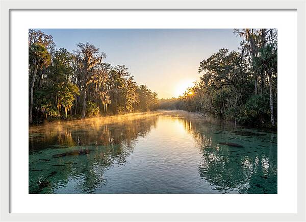 Wakulla Springs Tranquility