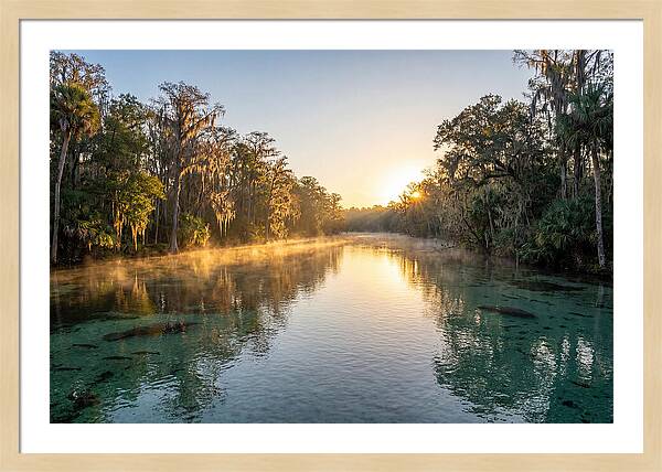 Wakulla Springs Tranquility