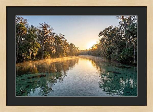 Wakulla Springs Tranquility