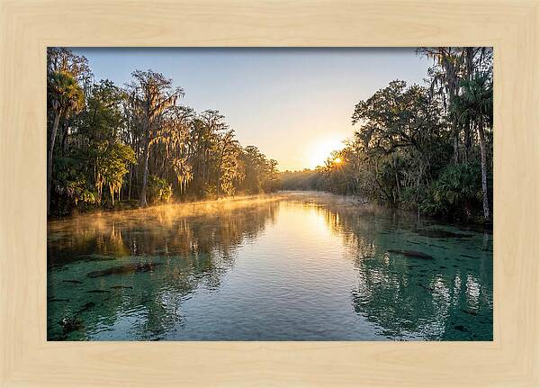 Wakulla Springs Tranquility