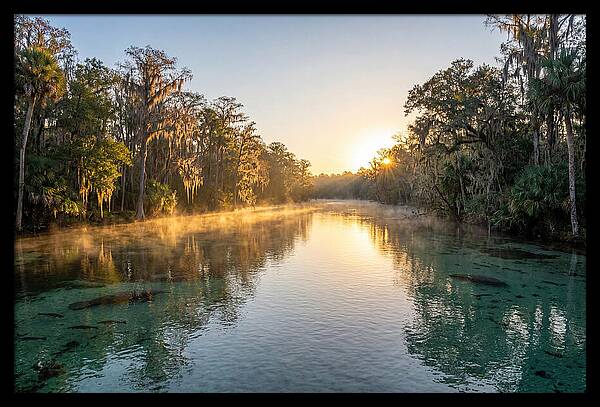 Wakulla Springs Tranquility