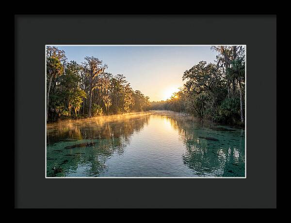 Wakulla Springs Tranquility