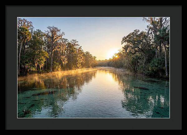 Wakulla Springs Tranquility