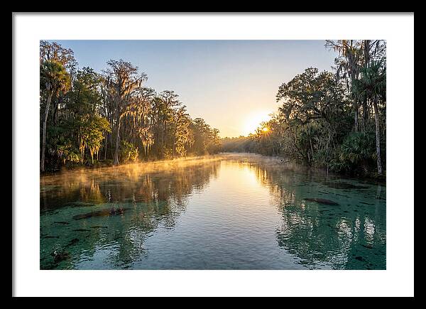 Wakulla Springs Tranquility