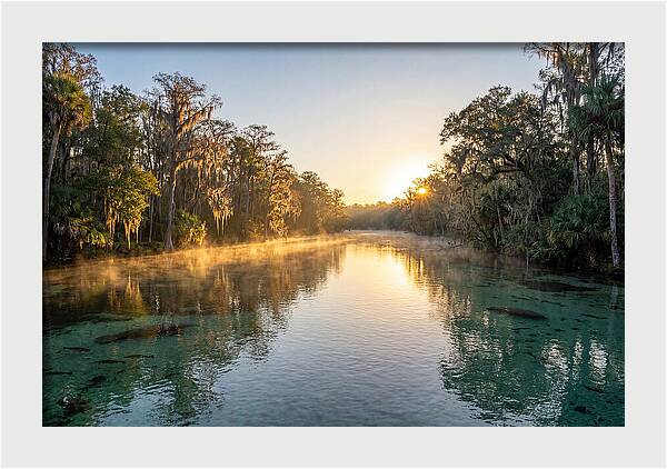 Wakulla Springs Tranquility
