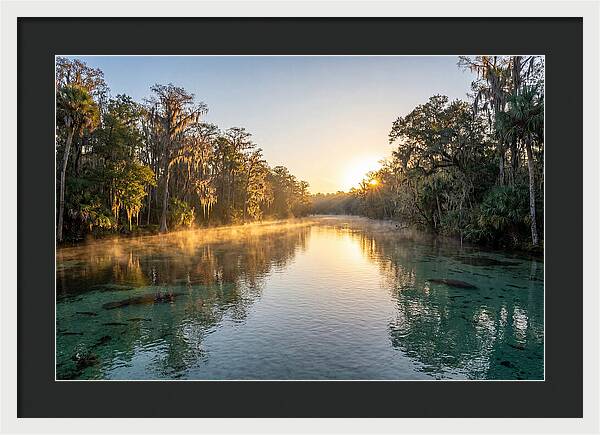 Wakulla Springs Tranquility