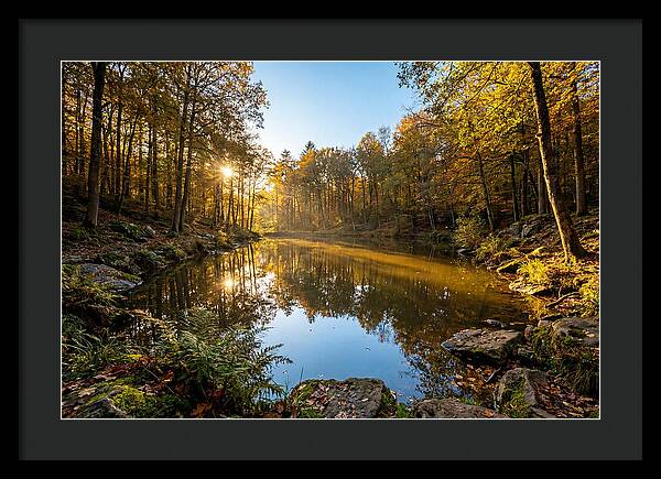 Walden Pond Serenity