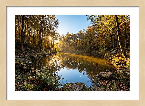 Walden Pond Serenity