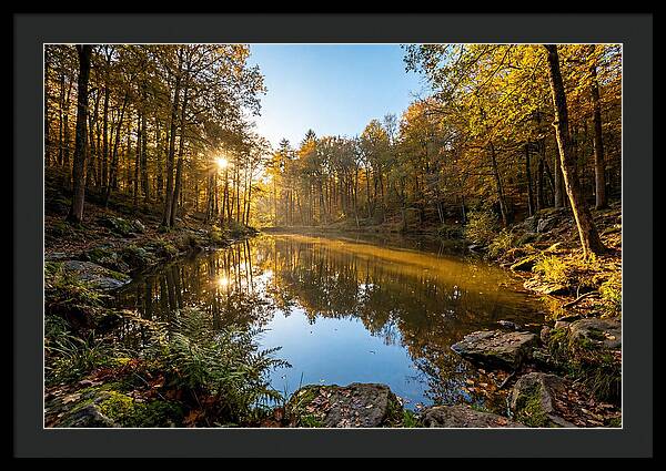 Walden Pond Serenity