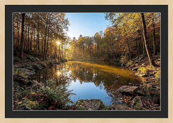 Walden Pond Serenity