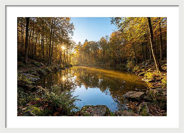 Walden Pond Serenity