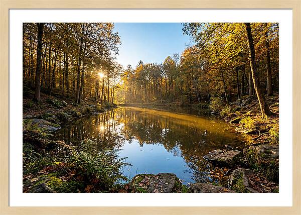 Walden Pond Serenity