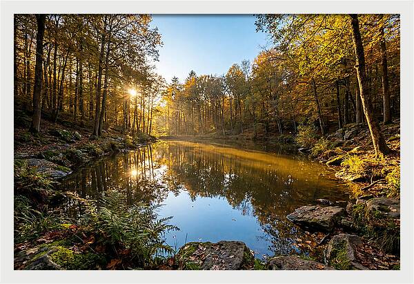 Walden Pond Serenity
