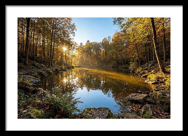 Walden Pond Serenity