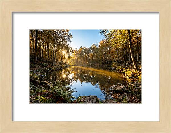 Walden Pond Serenity