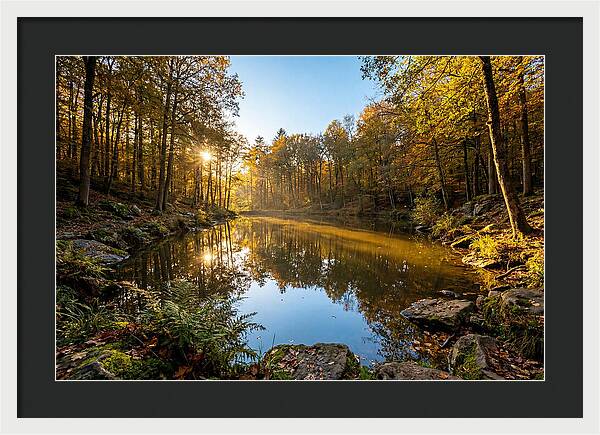 Walden Pond Serenity
