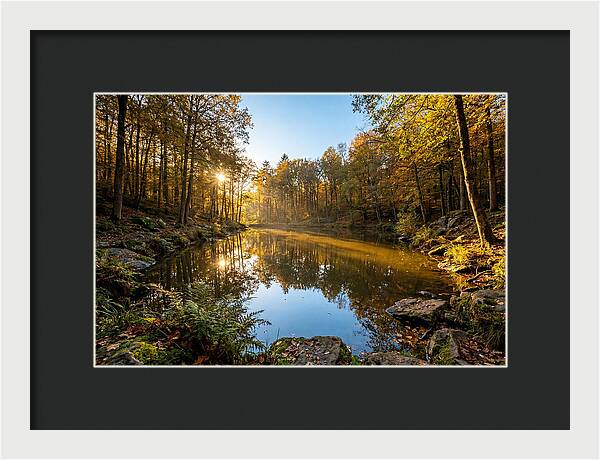 Walden Pond Serenity