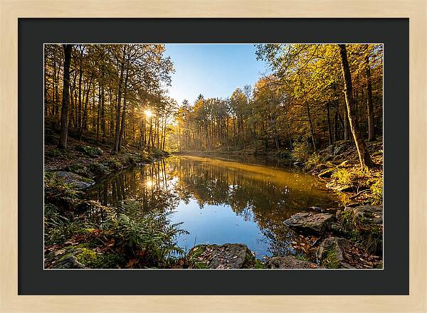 Walden Pond Serenity