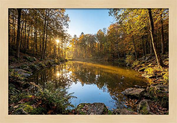 Walden Pond Serenity