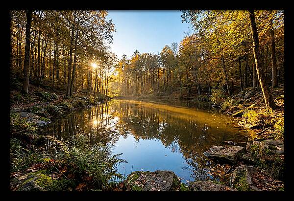 Walden Pond Serenity